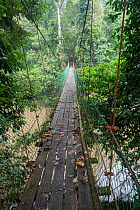 Bridge over rainforest river, Danum Valley, Sabah, Borneo, September 2015.