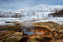 Small geothermal vent, Geysir Hot Spring Area, South West Iceland, March 2015.