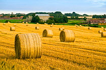 Stubble field with round straw bales, Binham Priory and Binham village in distance, Norfolk, England UK. August 2015.