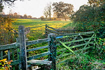 Stile and gate with 'Public Footpath ' sign, Norfolk, England UK. December