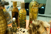 Confiscated bottles of alcohol containing Cobra and other snakes,  in display of confiscated CITES protected wildlife products at Dusseldorf Airport, Germany, June 2015. Products seized by  German Fed...