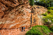 People looking at triassic New Red Sandstone cliffs of the Wilmslow Group, circa 250 million years old, Hawkstone Ridge, Hawkstone Follies, Shropshire, England, UK, May 2015.