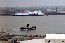 'Stena Lagan' Belfast - Birkenhead Ferry and Mersey Ferry,  River Mersey, Liverpool. UK, May.