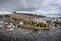 Remnants of a wooden waterboat amongst hundreds of whale bones, Mikkelsen Harbour, Antarctic Peninsula, Antarctica, January 2012.