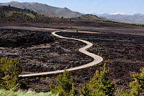 Road through the Big Sink along the Great Riff, Craters Of The Moon National Monument, Idaho, USA, June 2015.