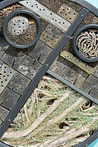 Insect hotel with drilled logs, bundles of bamboo stems and lichen-covered bracnhes, Gloucestershire garden, UK, April.