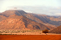 Marienfluss valley during dry season, Kaokoland, at the frontier,  the mountains are Angola, Kunene region, Namibia, Africa