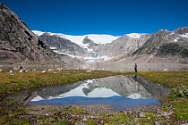 Woman standing at the edge of Flatisvatnet lake with the Svartisen ice cap behind and reflected in a small pool of water, Glomdalen, Saltfjellet-Svartisen National Park, Norway, August 2015. Model rel...
