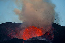 Lava and ash plume erupting from Fogo Volcano, Fogo Island, Cape Verde, 29th November 2014.