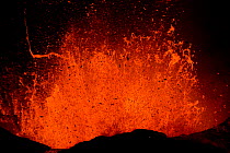 Lava erupting from Fogo Volcano, Fogo Island, Cape Verde, 29th November 2014.