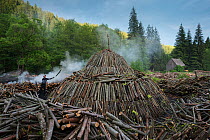 Charcoal burner building a charcoal pile, Transylvania, Romania, June 2015.