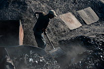 Charcoal burner sorting through charcoal, Transylvania, Romania, June 2015.