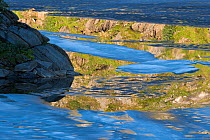 Ice sheets floating on the surface of Ovre Pikhaugvatnet Lake, Saltfjellet-Svartisen National Park, Norway, August 2015.