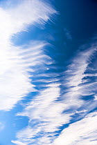 Cirrus clouds displaying wind shear, Brechin, Scotland, UK, September.