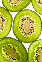 Kiwi fruit (Actinidia sp) cross section backlit.