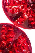 Pomegranate (Punica granatum) cross section, backlit.