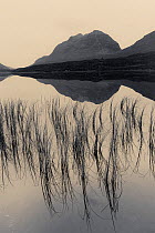 Liathach reflected in the water of Loch Clair at dusk, Wester Ross, Scotland, UK, November.