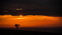 Sunrise over the open plains of East Africa. Masai Mara Kenya. August 2014.