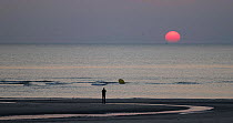 Sunset over beach at Berck with person looking out to sea, Pas De Calais, France, September 2015.