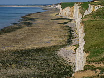 Cliffs and beach beween Mers Les Bains and Ault, Somme, Picardie, France, September 2015.