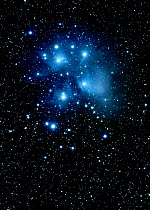 Pleiades or Seven Sisters (Messier 45 aka M45) in Taurus Constellation, taken from Eastern Colorado, USA. 8 November 2015.