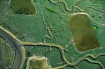 Aerial view of marshes at low tide with a hunting hut, Bay of Somme, Picardie, France.