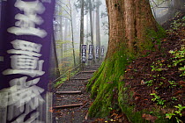Access to Tamaki-Jinja temple on the Kumano Kodo Pilgrimage path, Yoshino-Kumano National Park, Kansai Region, Japan, November 2008.