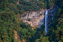 Nachi Falls, one of three major shrines on the Kumano Kodo pilgrimage, Kansai, Japan, November 2008.