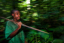 Baka man carrying spear during hunt, South East Cameroon, July 2008.