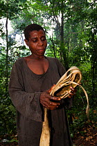 Baka woman folding a very strong piece of freshly harvested bark, used as a rope, South East Cameroon, July 2008.