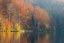 Autumnal reflections in the Upper Lakes, Plitvice Lakes National Park, Croatia. November 2015.