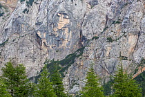 Ajdovska deklica (the Heathen Maiden), a face on the northern rock face of mount Prisojnik. Triglav National Park, Julian Alps, Slovenia. July 2015.