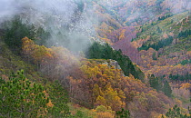 Marao mountain range during in autumn, Tras-os-Montes, Portugal, November 2015.