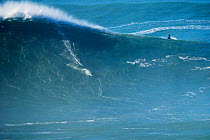 Surfer riding a big wave, Nazare, Portugal, December 2015.
