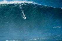 Surfer riding a big wave, Praia do Norte, Nazare, Portugal, December 2014.