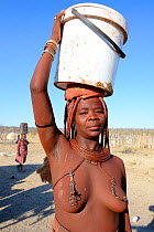 Himba woman returning from the waterpoint, carrying on plastic can full of water for her family, Marienfluss Valley, Kaokoland Desert, Namibia. October 2015