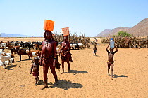 Himba women and children returning from the waterpoint, carrying plastic can full of water on her head. Marienfluss Valley, Kaokoland Desert, Namibia. October 2015