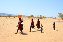 Himba women and children returning from the waterpoint, carrying plastic cans full of water, during dry season, Marienfluss Valley, Kaokoland Desert, Namibia. October 2015