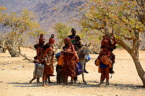 Himba women and man riding on a donkey going to collect water at the nearby waterpoint, during dry season, Marienfluss Valley, Kaokoland Desert, Namibia. October 2015
