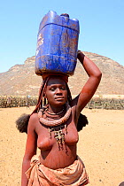 Himba woman returning from the waterpoint, carrying on plastic can full of water on her head, during the dry season, Marienfluss Valley, Kaokoland Desert, Namibia. October 2015