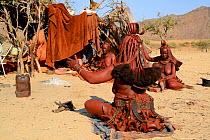 Himba woman greeting and talking to her neighbours in the morning at temporary village in the dry season, Marienfluss Valley, Kaokoland Desert, Namibia. October 2015