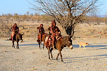 Himba women and child riding on donkeys to the nearby Etanga Village, Kaokoland, Namibia. October 2015