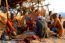Elderly himba men and woman gathering in the morning in the village chief's hut, Marienfluss Valley, Kaokoland Desert, Namibia. October 2015