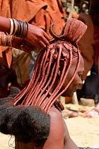 Himba women braiding each other's hair. Note the traditional head ornament known as 'Erembe', indicating that she is married, Kaokoland, Namibia October 2015