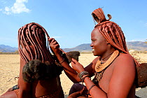 Himba women braiding each other's hair. Marienfluss Valley. Kaokoland, Namibia October 2015