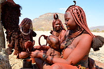 Himba woman applying Otjize (a mixture of butter, ochre and ash) on skirts made from goat skin whilst breastfeeding. Marienfluss Valley. Kaokoland, Namibia October 2015
