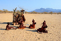 Himba women sitting together beside temporary hut, Marienfluss Valley. Kaokoland, Namibia. October 2015
