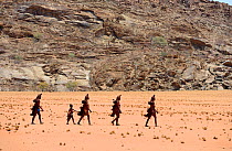 Himba women and child walking in Marienfluss Valley, Kaokoland Desert. Namibia October 2015