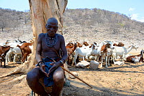 Elderly Himba man in traditional clothing resting under the shadow of a tree during harsh dry season, with his goats at the water point, Kaokoland, Namibia. October 2015