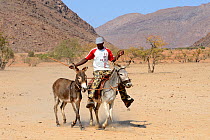 Himba man riding a donkey, Unlike women, himba men have adopted modern western style clothing, Marienfluss Valley, Kaokoland Desert, Namibia. October 2015